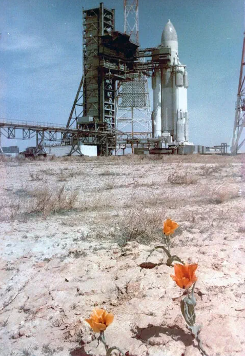 Победители и призёры