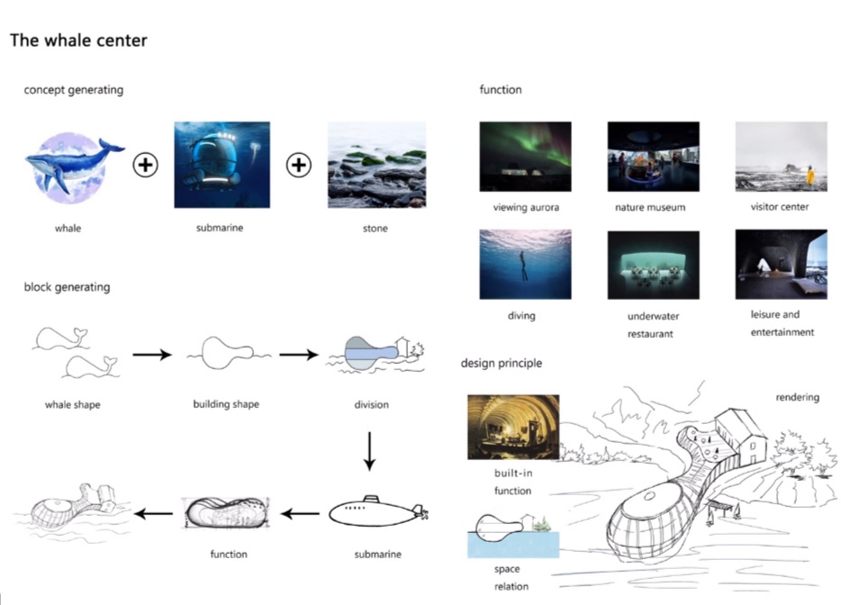 The whale center by the Teriberka team